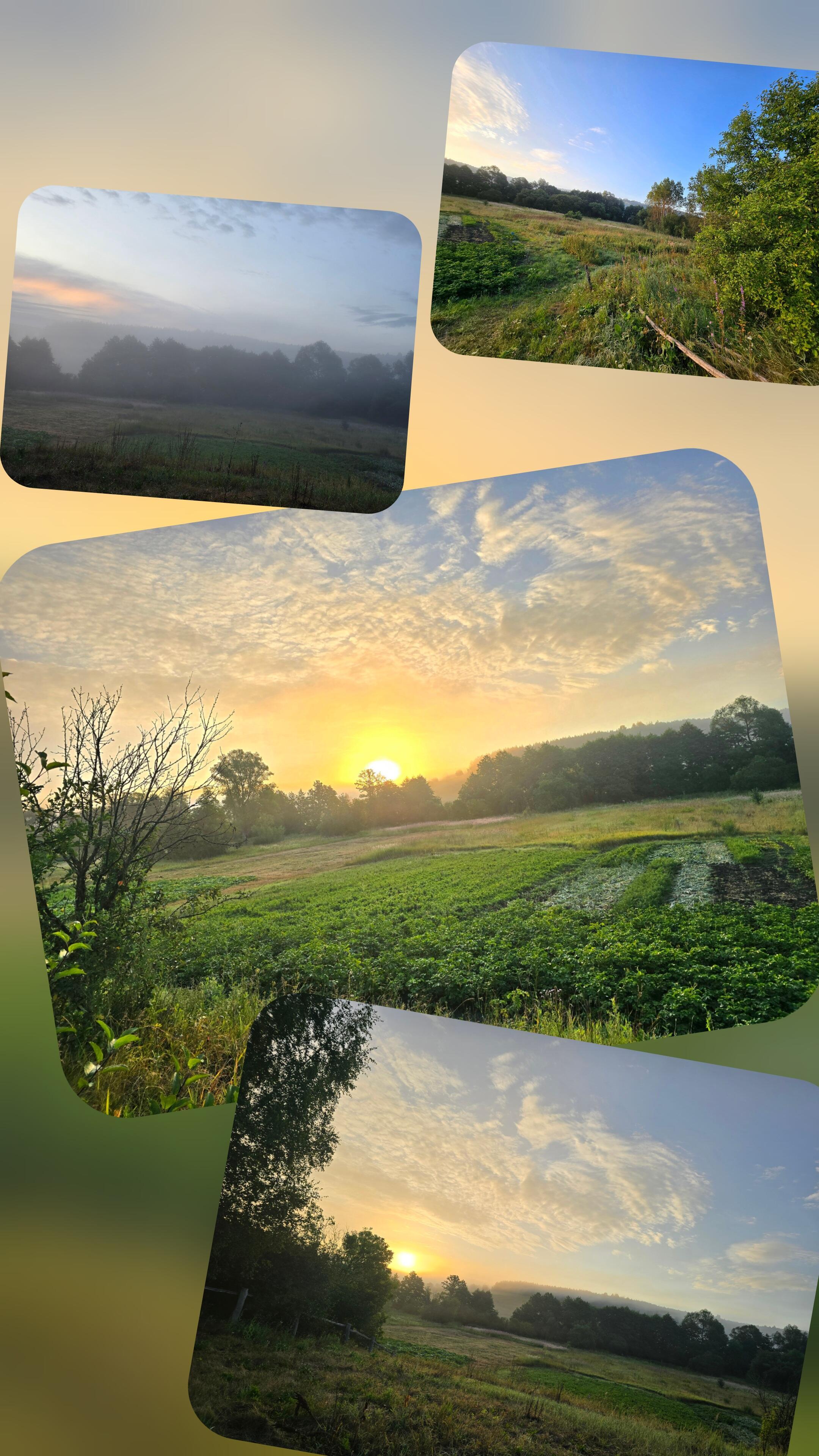 Золотистое в оттенках