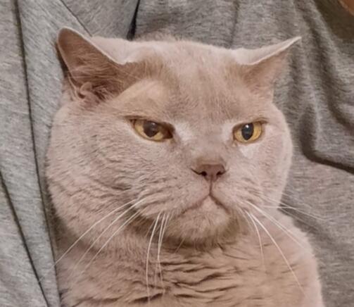 Там, в глубине в тебя глядящих глаз...