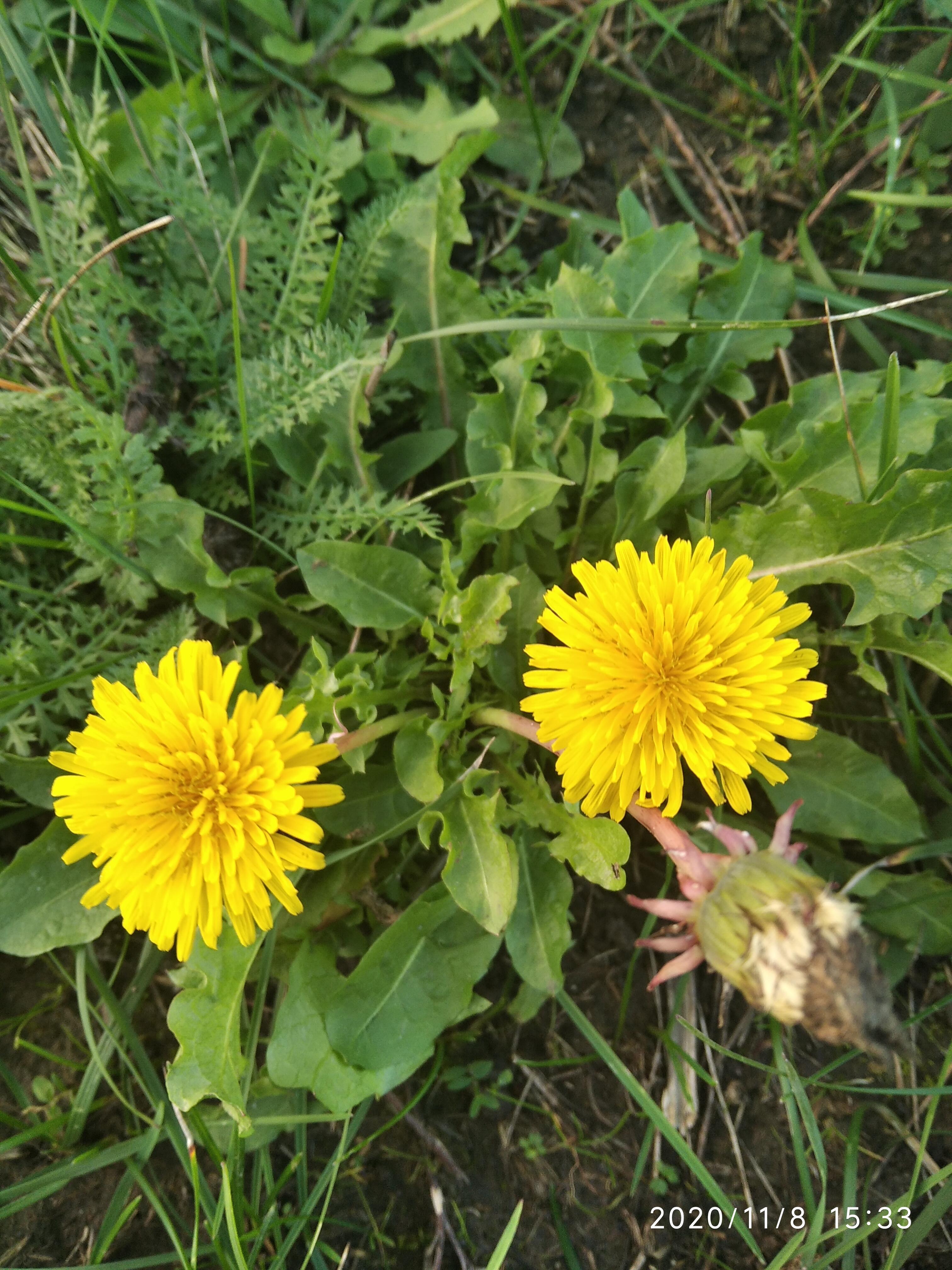 Вот так сюрприз...