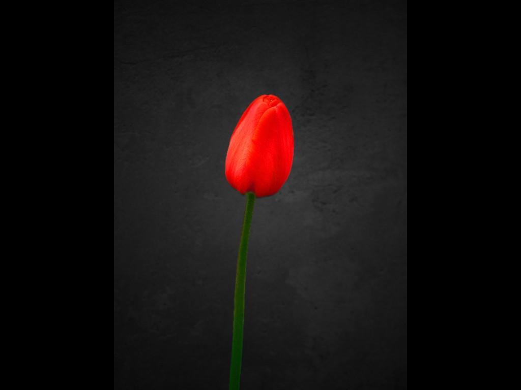 Ты никогда не будешь счастливым,