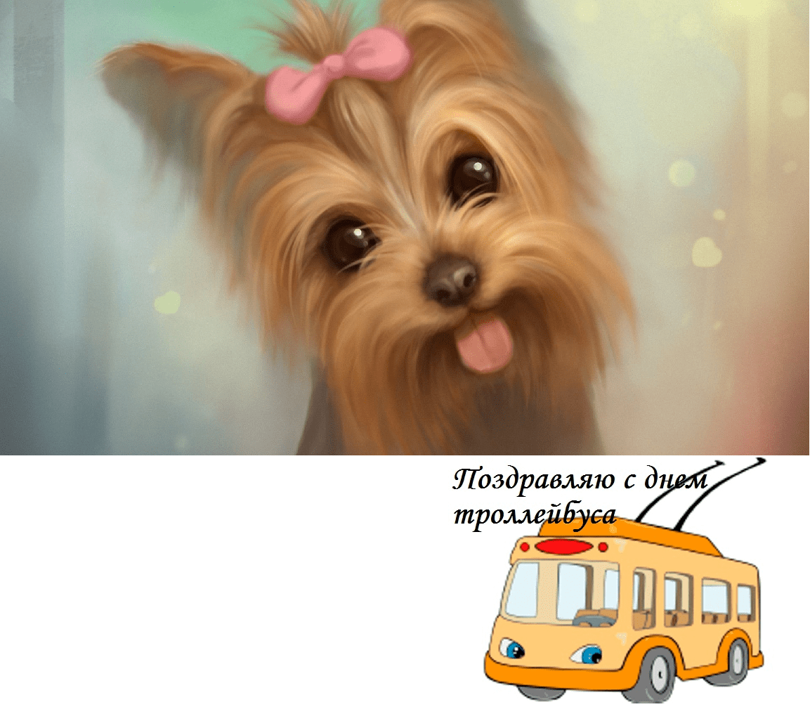 Прикольные праздники. С днём...