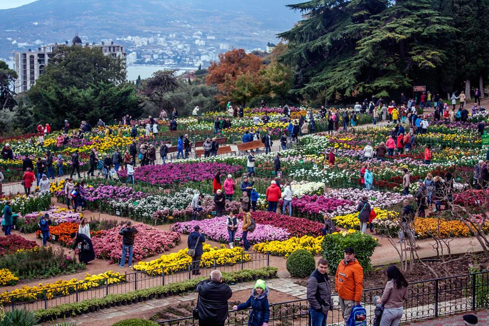 СКОРО В НИКИТЕ...
