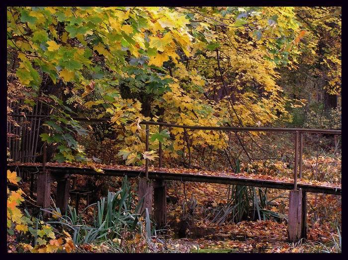 Жизнь есть цель