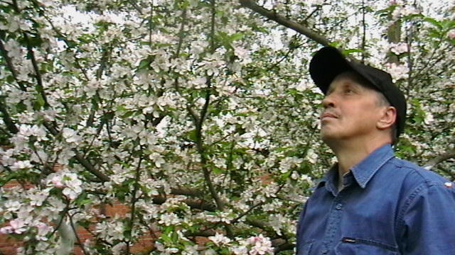 В синем небе стаи облаков.