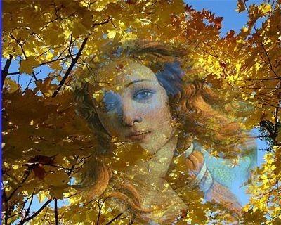 ОТЗВЕНЕЛО БАБЬЕ ЛЕТО.