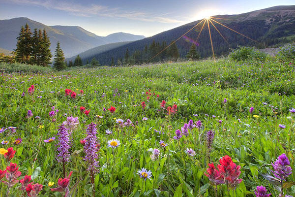 НИЧЕГО ТЫ МНЕ НЕ ОБЕЩАЙ !