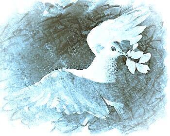 Зимний голубь