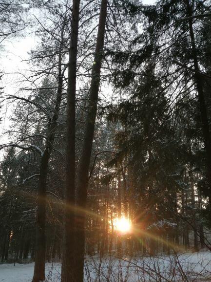 Зарисовка с прогулки