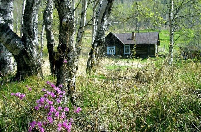 Я сегодня вернусь в свою юность... Музыка и исп. А. Протасов