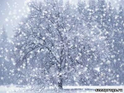 Шагну в октябрьский вечер