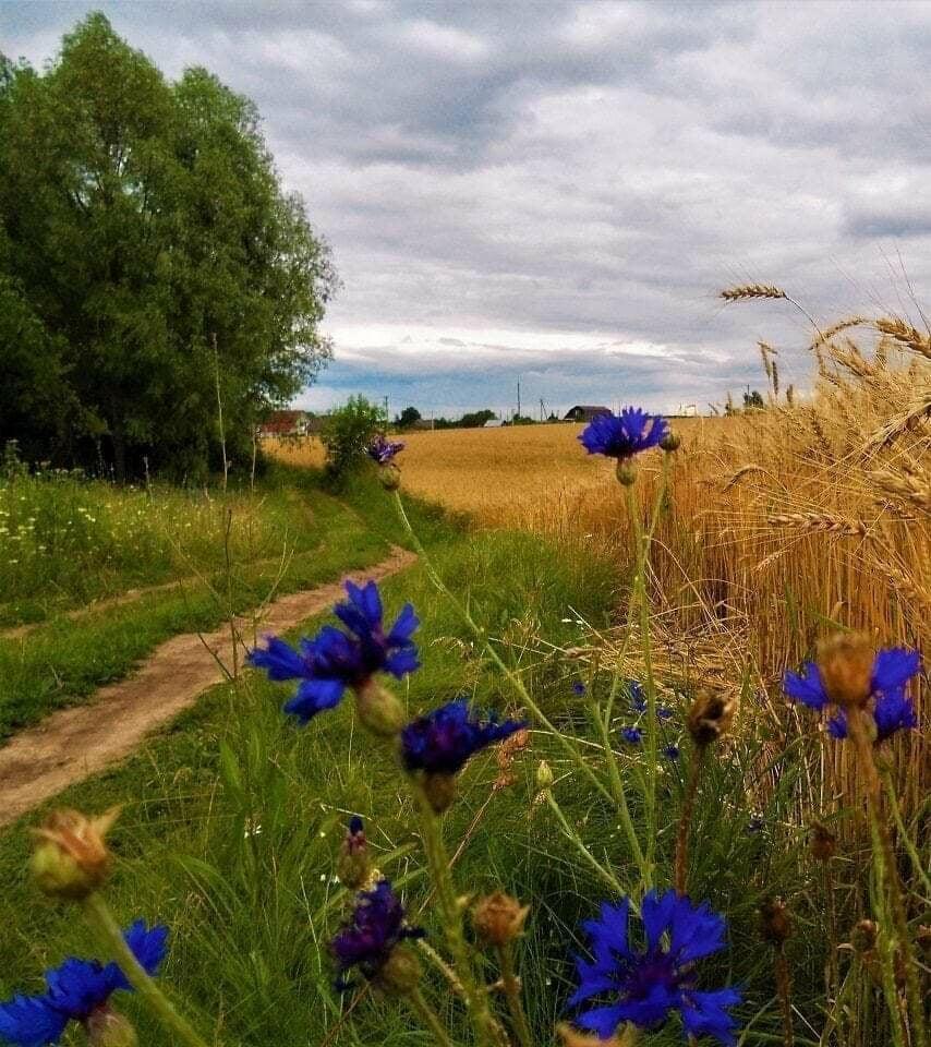 Художник-осень от 26. 10. 2013г