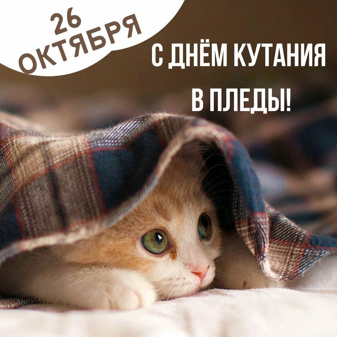 День укутывания в пледы