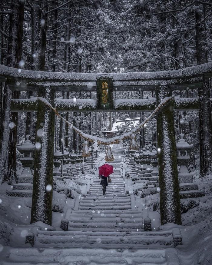 Созерцание тенденций