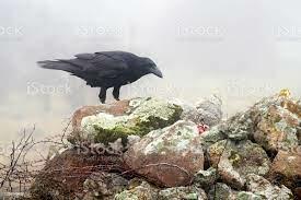 мёртвый камень.