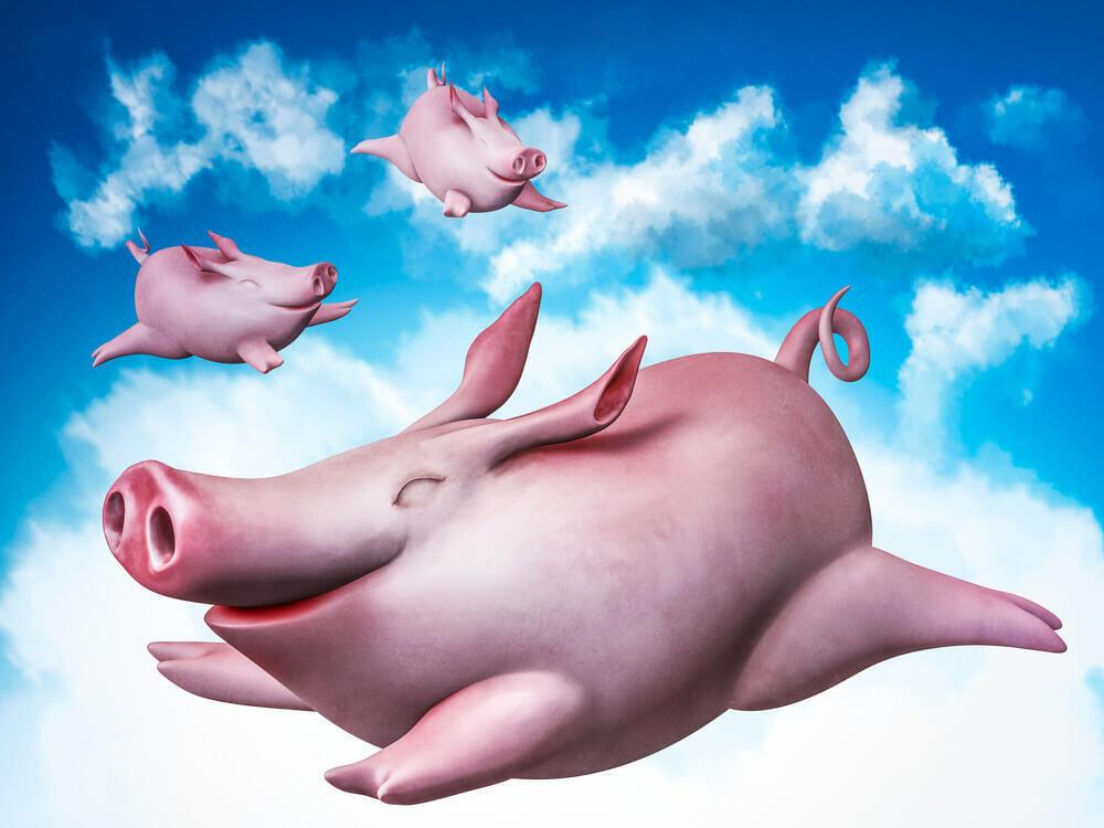 День летающих свинок картинки. Летающий поросёнок. Летающая свинья. Летающая свинья в небе. Свинья в облаках.