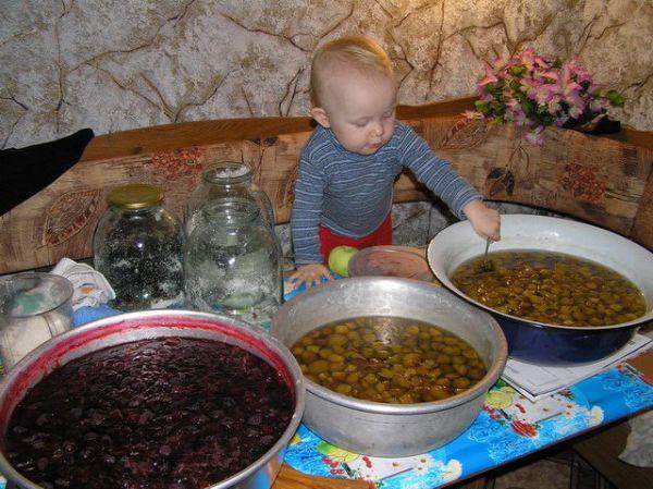 Муха из детства