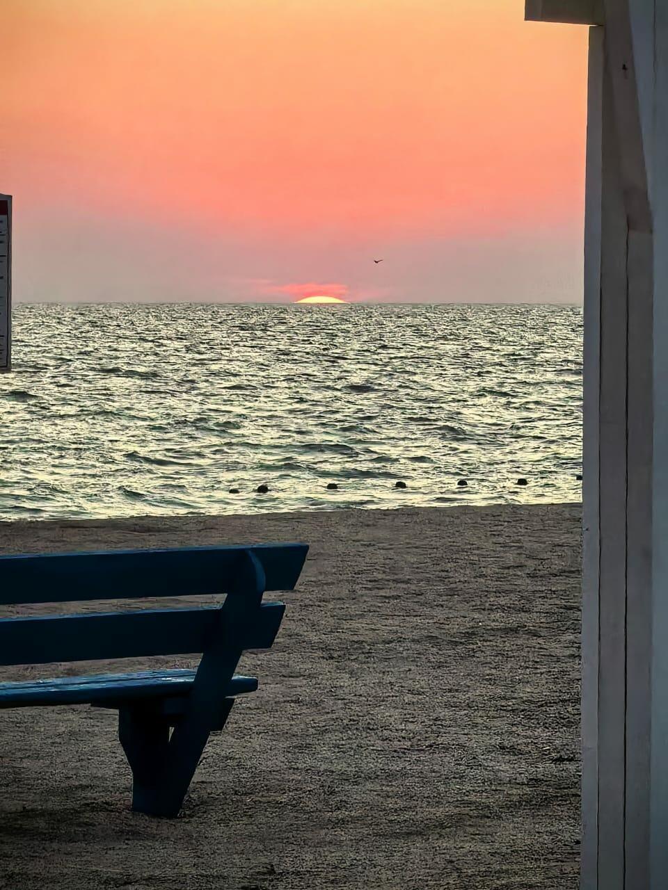 Над Сосновкой летели японцы...