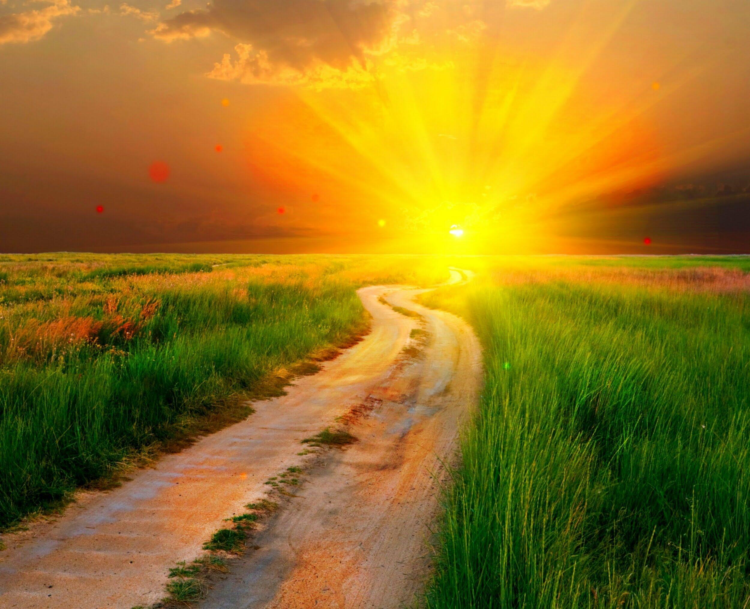 Новая жизнь 1 е. Солнечная дорога. Солнце на дороге. Светлая дорога. Летняя дорога.