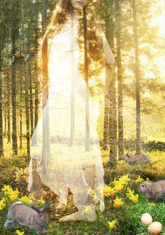 Это - лето золотое...