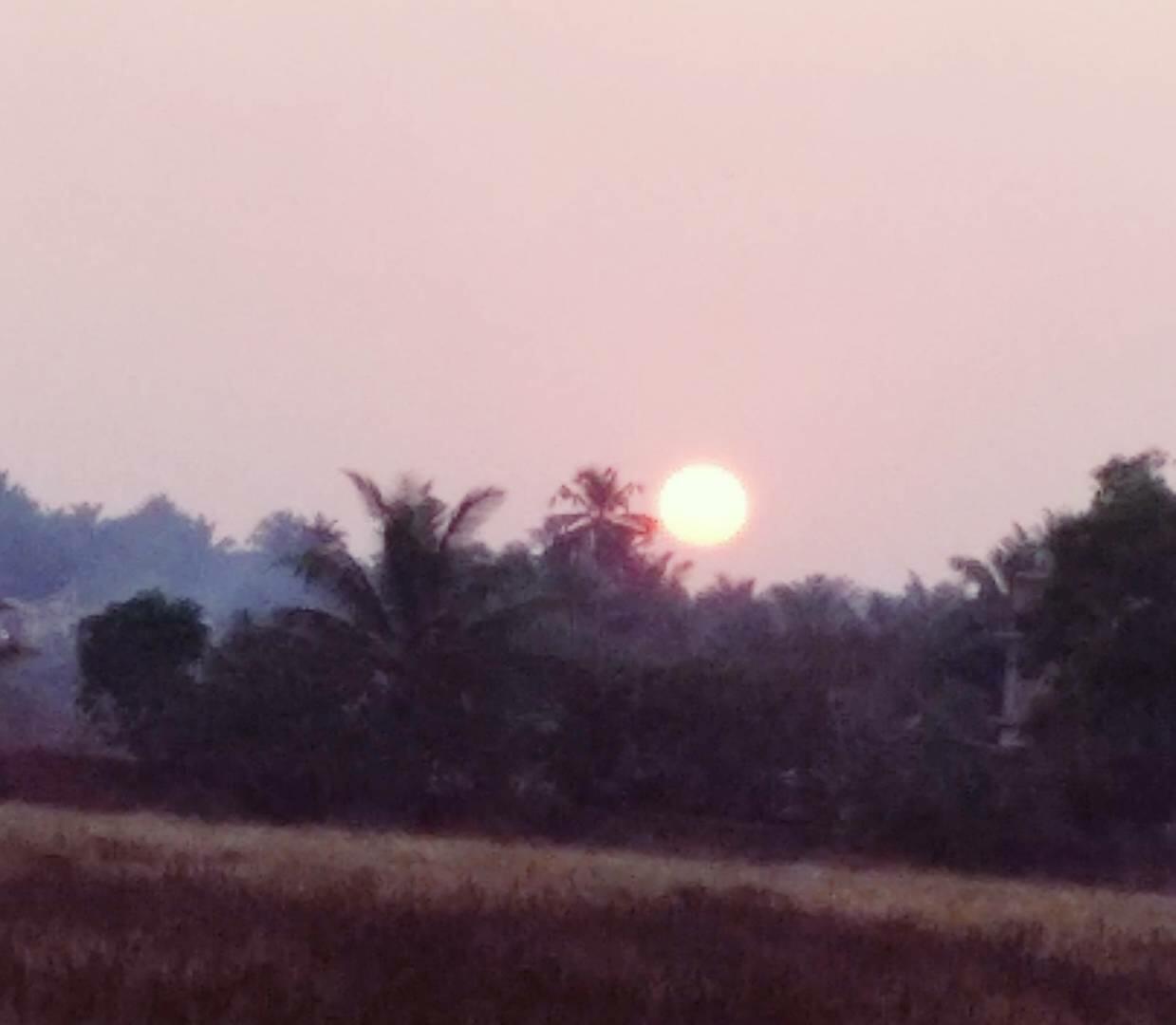 ПРЕДУТРЕННИЙ СОН