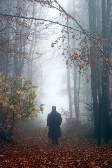 ПЕЙЗАЖ И МУЗЫКА /ХОККУ/