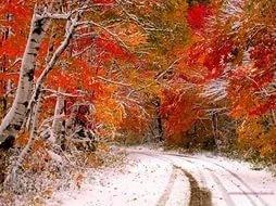 Преобразует снег