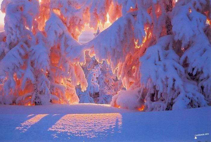 Такая Чудная Зима...