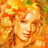 Оркестр жизни