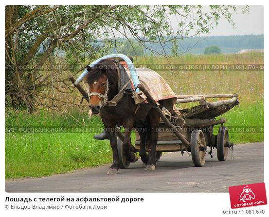 Повозка