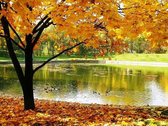 ЭКСПРОМТИУС НОЯБРЬ