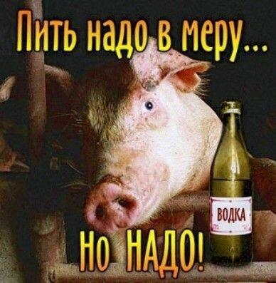 Водка для хрюшки