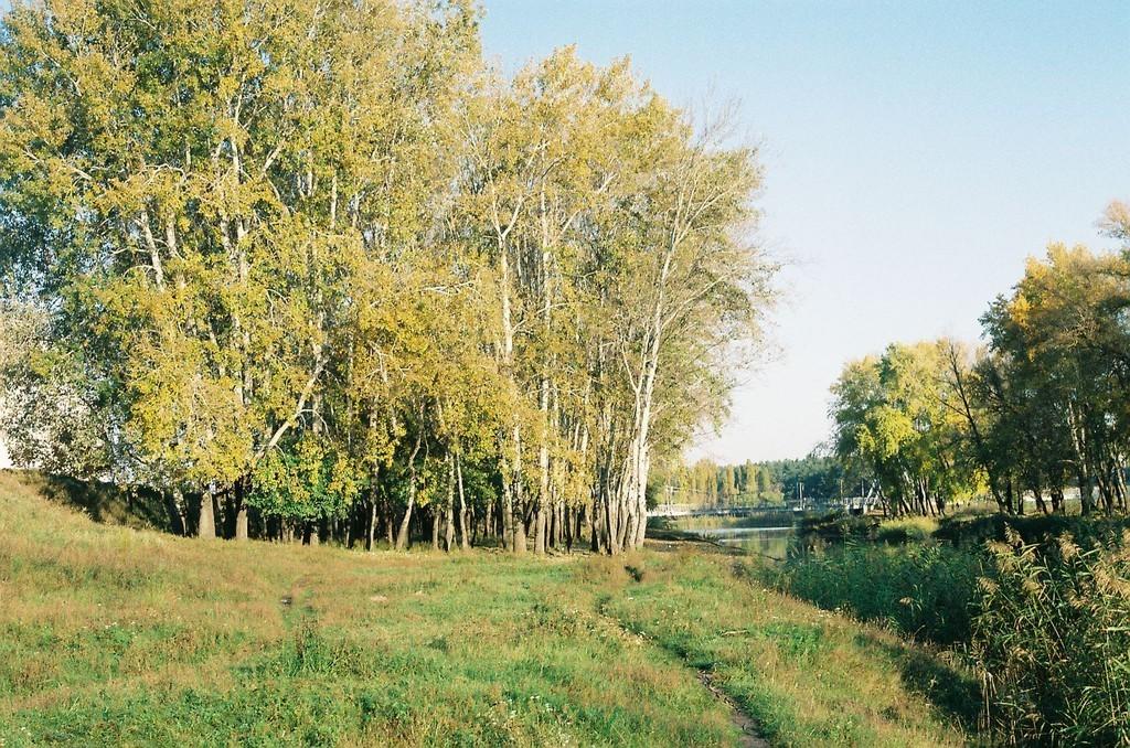 ПЕСНЯ МОЯ ТЫ НЕ СПЕТАЯ...