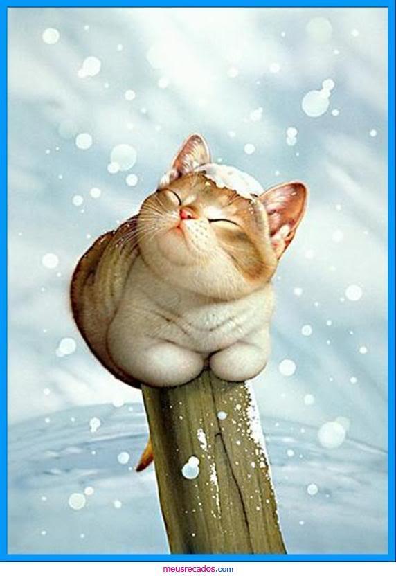 Человек и кот