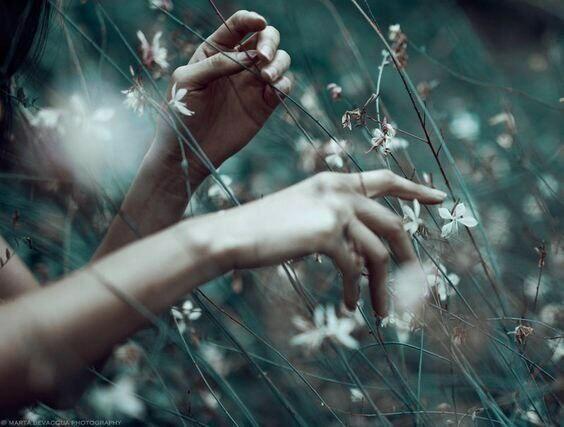 Что мы знаем...