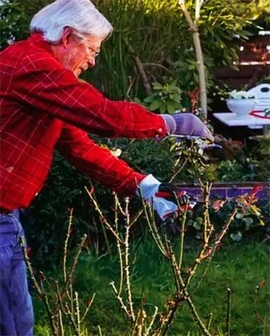 Два садовника