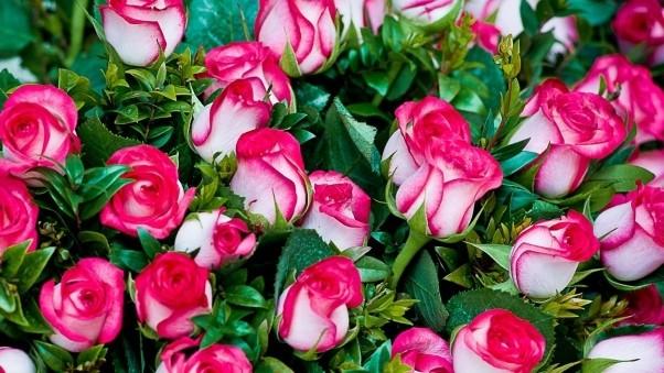 ЗА ВСЁ ТЕБЕ Я БЛАГОДАРЕН