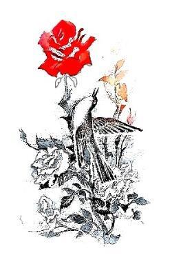 Белое-красное