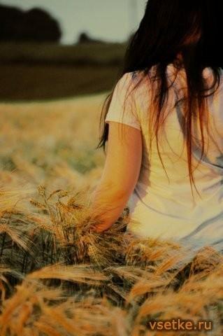 Доверие костру