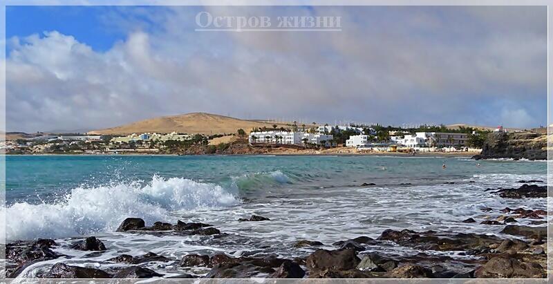 Акулий остров. Остров жизни