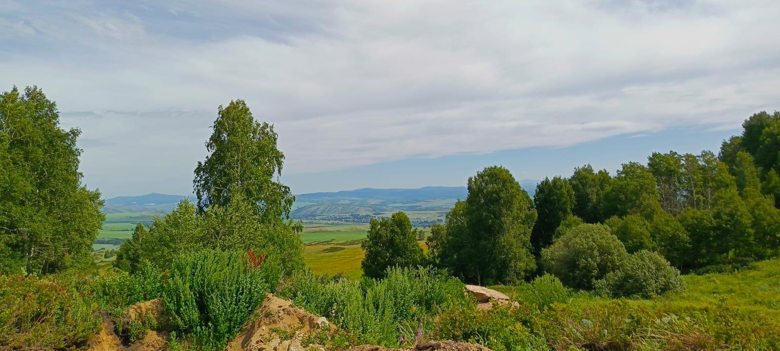 Тепла, так хочется тепла...