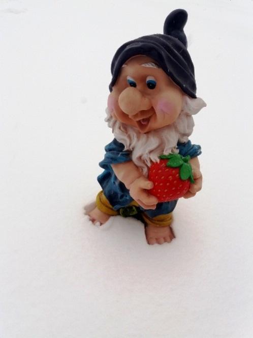 Мой друг садовый Гном