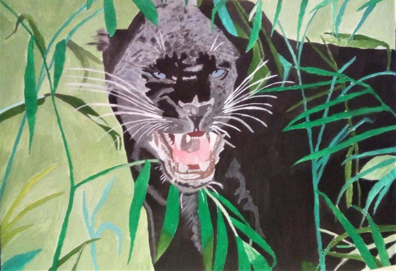 Ночной зверь