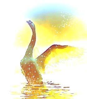 Зеркала отражают небо