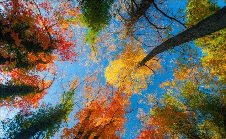 Осень.. Зарисовки