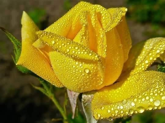 Не вернуться обратно...