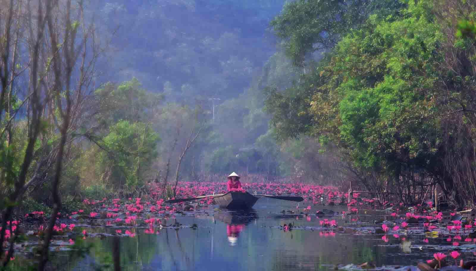 Туман життя