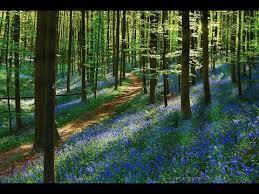 Весенний сонет