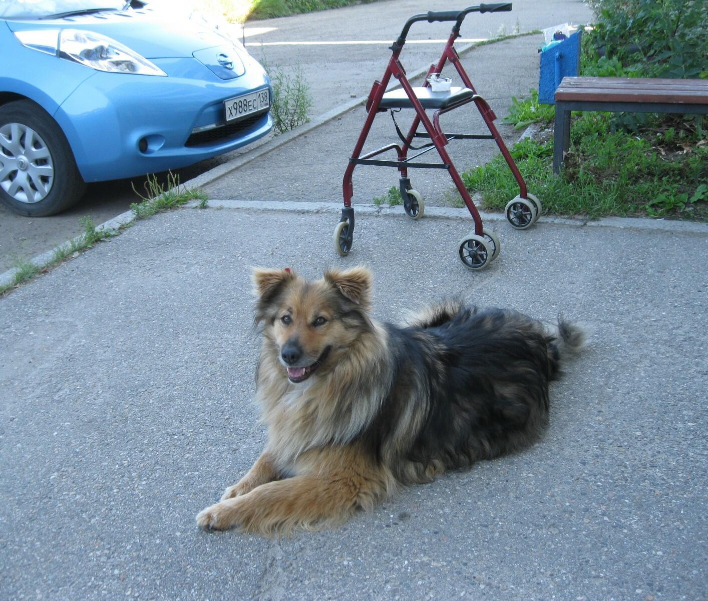 Необходимая.