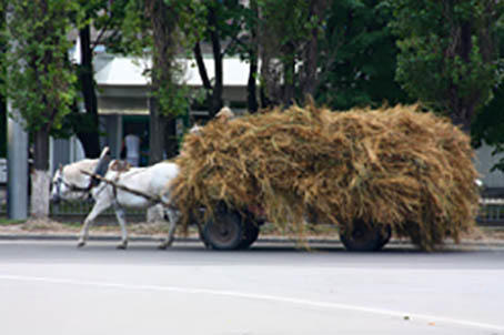 Почему мне мало платят?