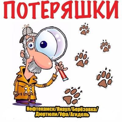 ПОТЕРЯШКА...